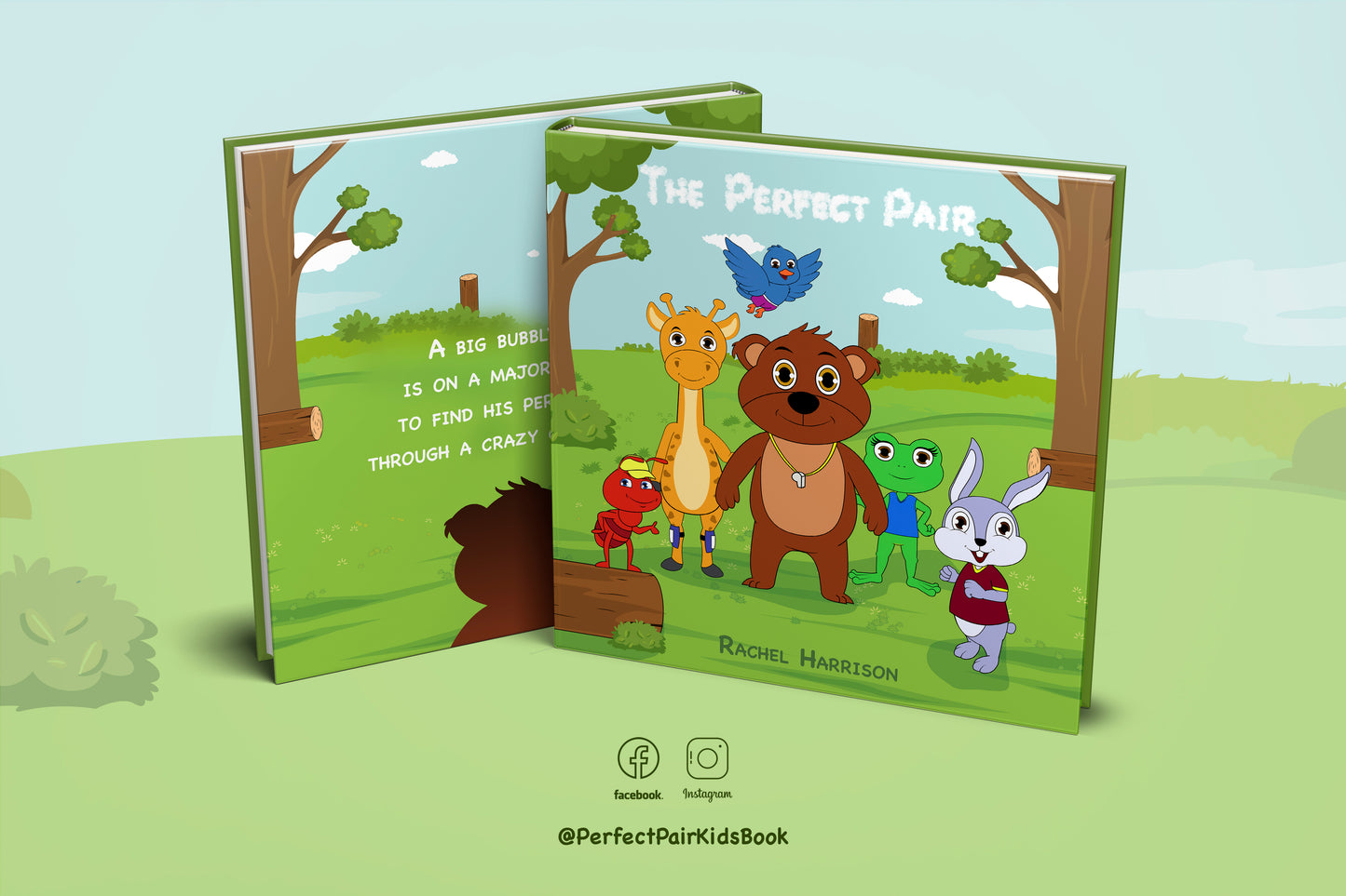 Children's Read Aloud Rhyming Book, The Perfect Pair for ages 2-6