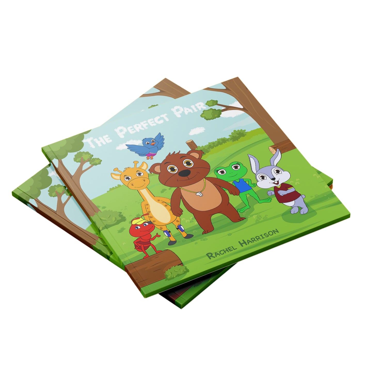 Children's Read Aloud Rhyming Book, The Perfect Pair for ages 2-6
