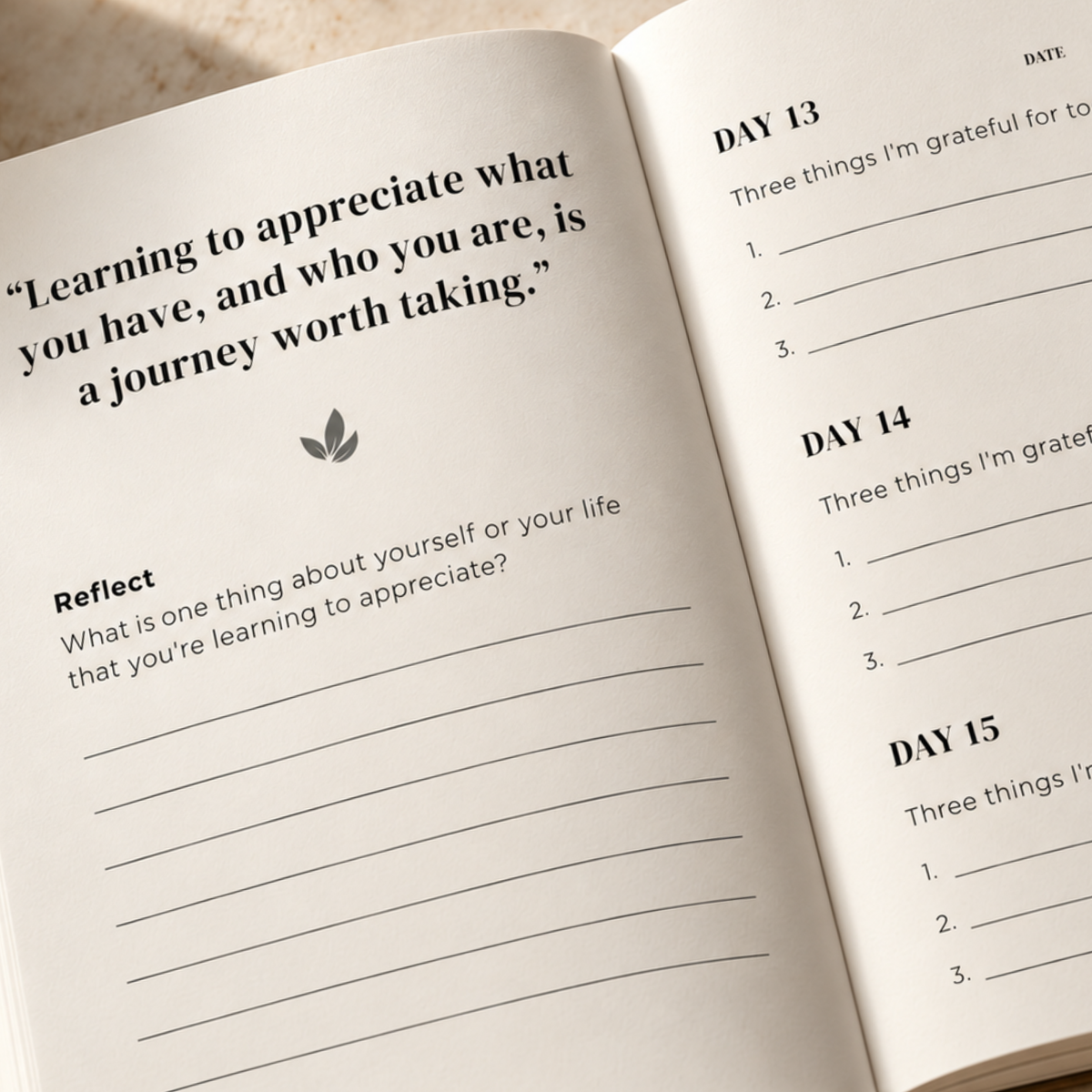 Close-up of 365 Days of Gratitude journal interior, showing a reflection prompt and daily gratitude writing pages